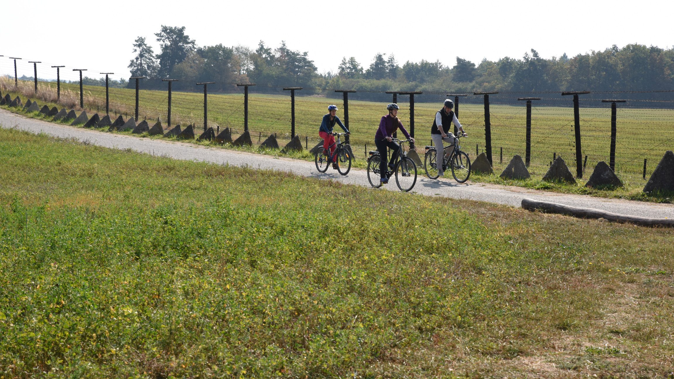 Blick auf drei Radfahrer, die auf einer Straße zwischen Wiesen fahren.