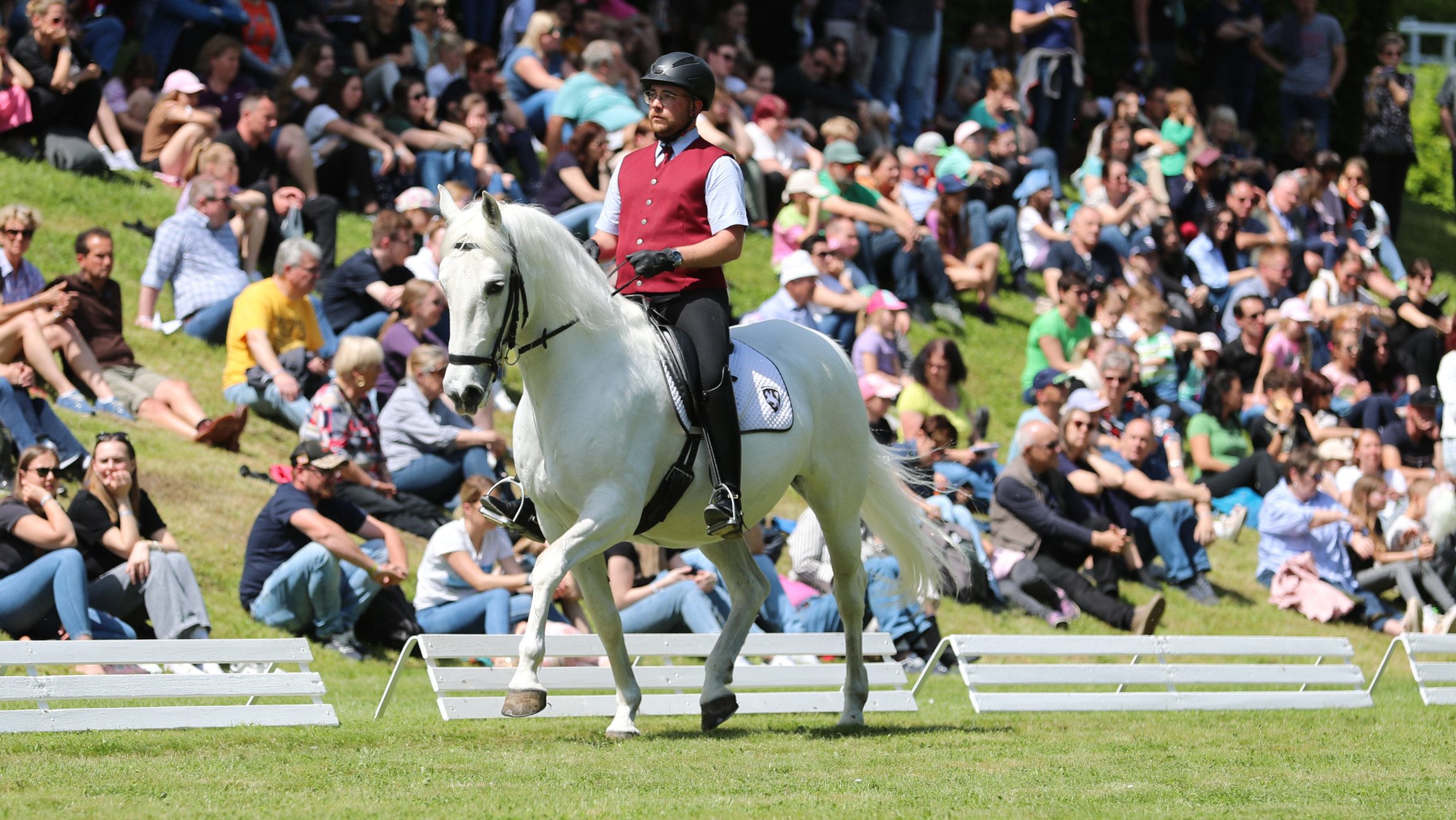 Reiter auf einem Lipizzaner beim Frühlingsfest.